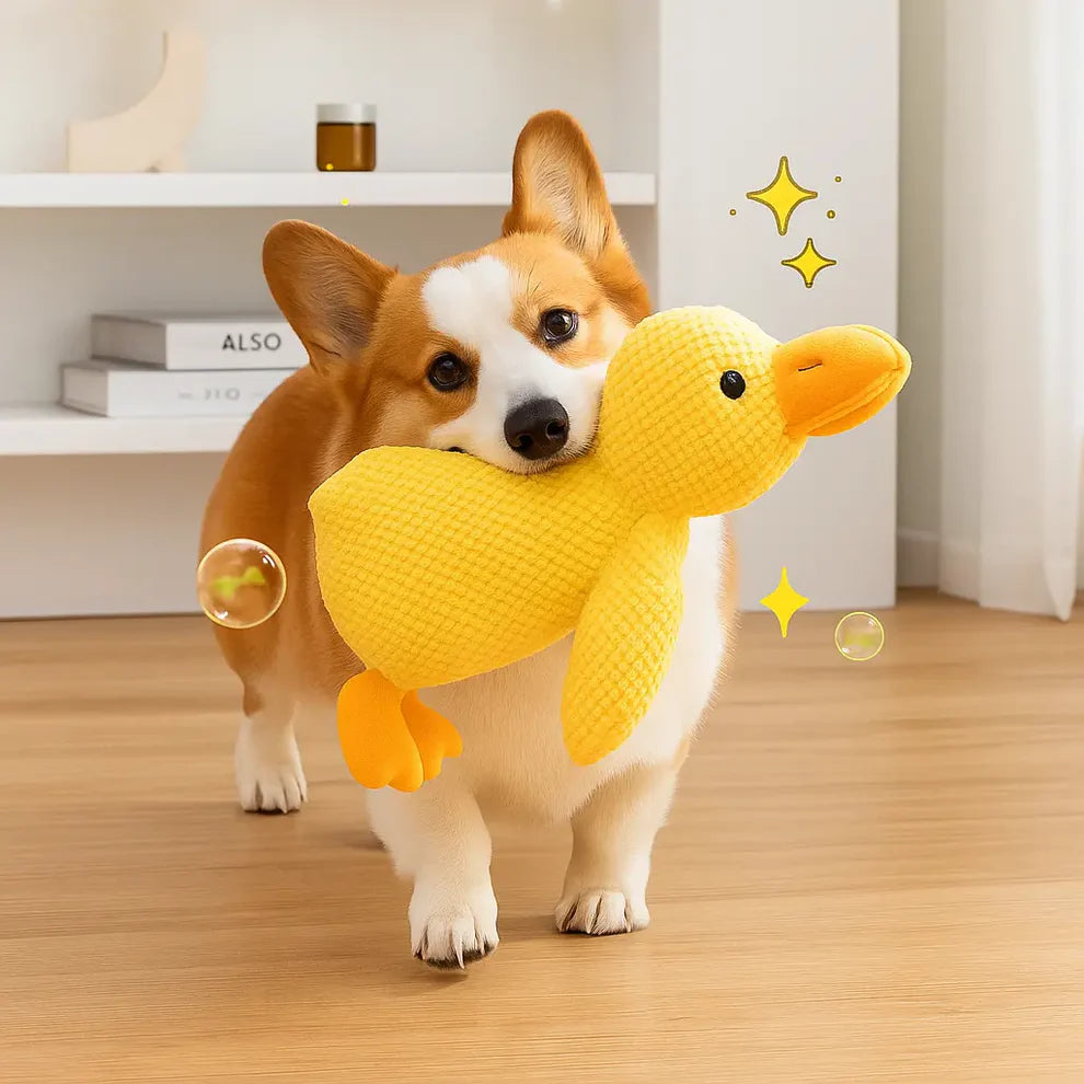 Soothing Duck Toy for Dogs