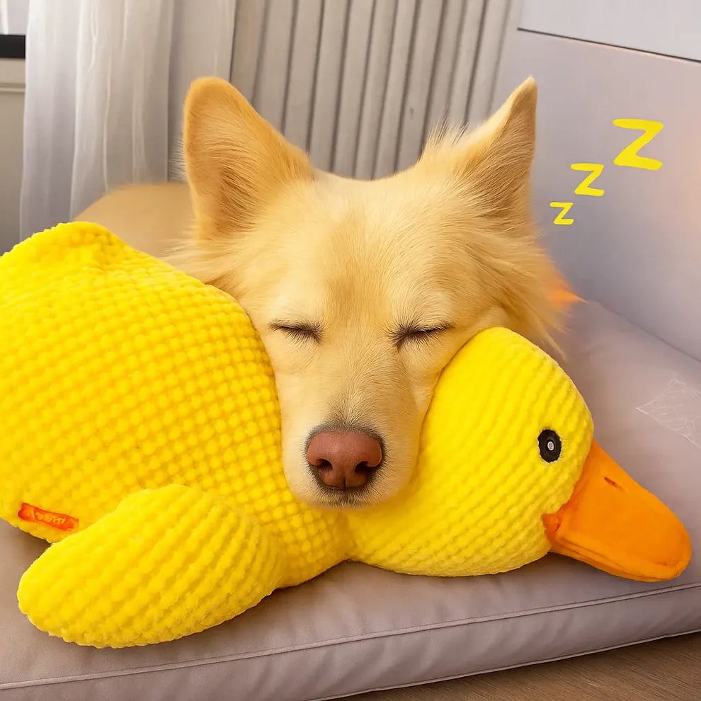Soothing Duck Toy for Dogs