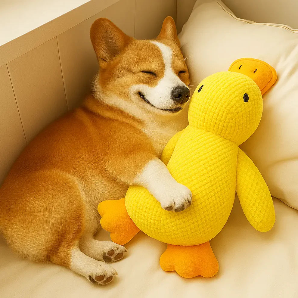 Soothing Duck Toy for Dogs