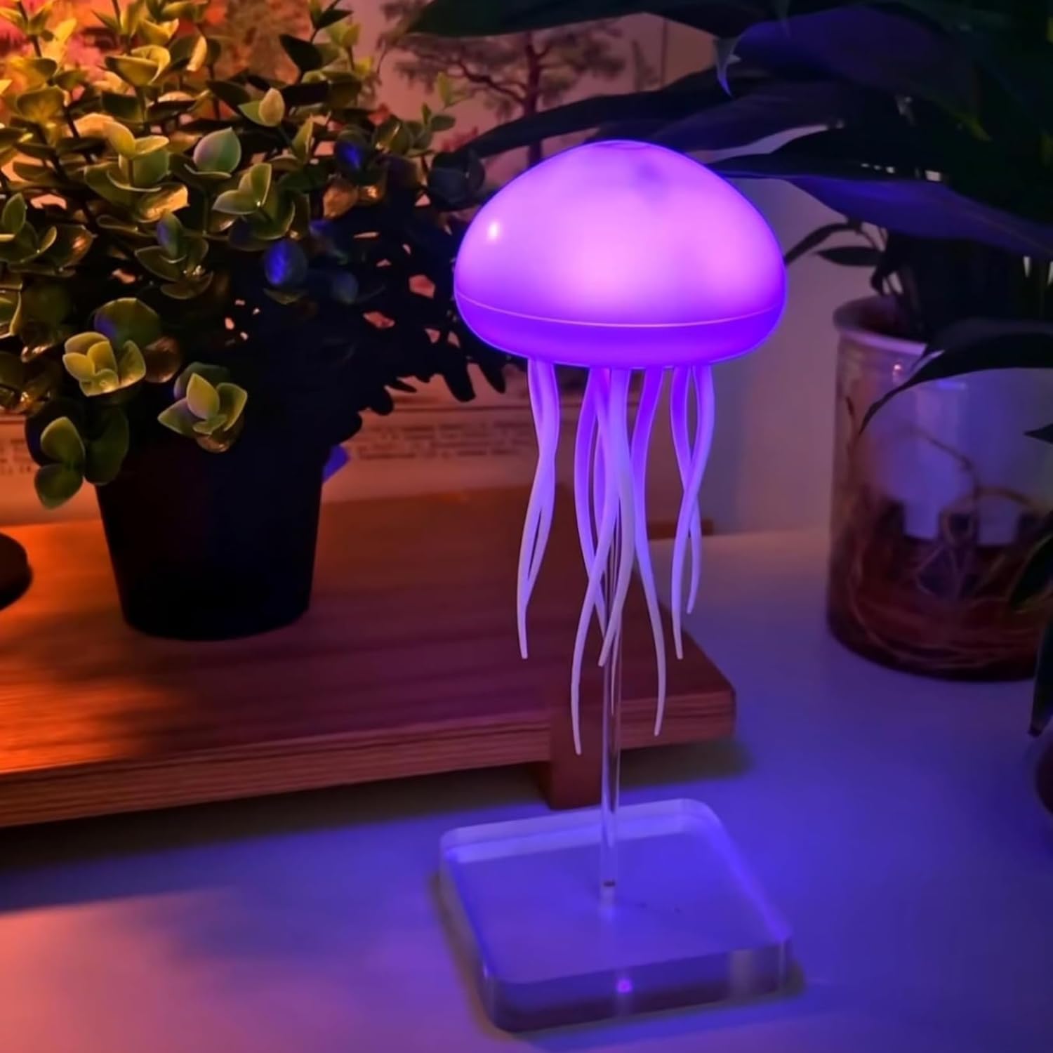 Jellyfish LED Night Lamp