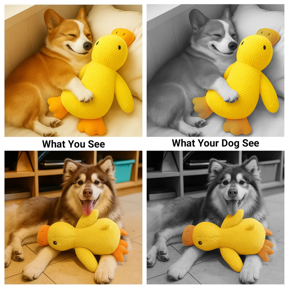 Soothing Duck Toy for Dogs