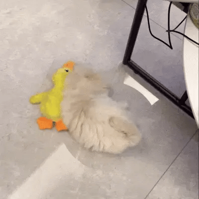 Soothing Duck Toy for Dogs